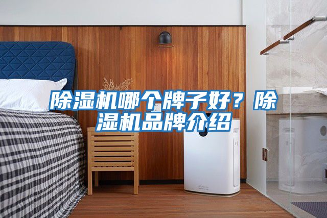 除濕機(jī)哪個牌子好？除濕機(jī)品牌介紹