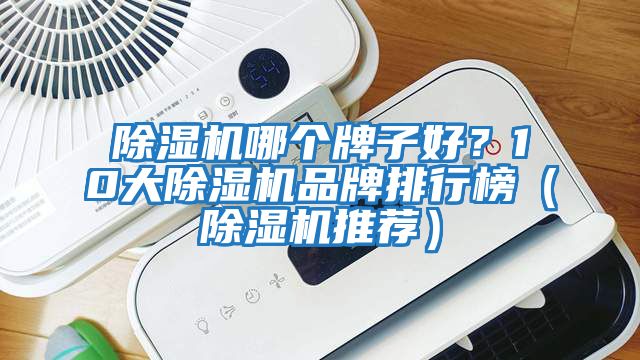 除濕機哪個牌子好？10大除濕機品牌排行榜（除濕機推薦）