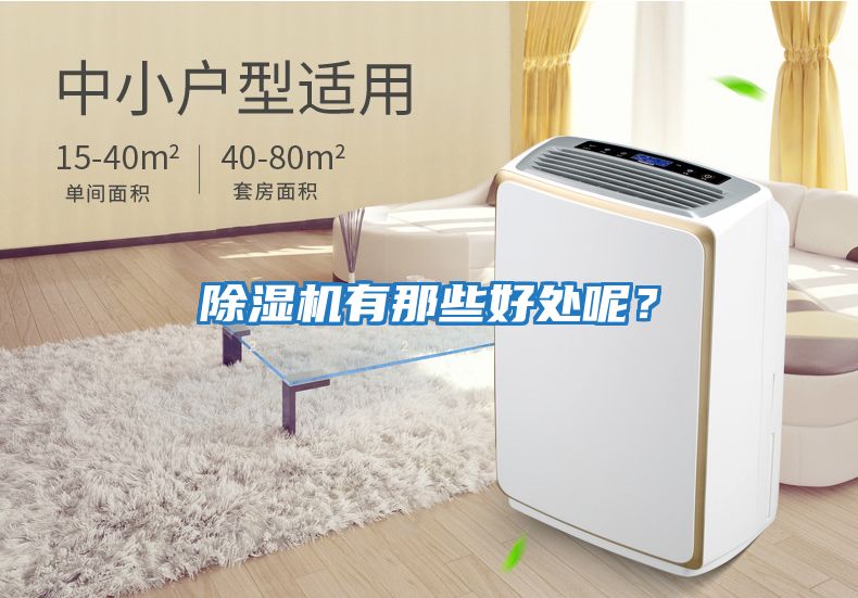 除濕機有那些好處呢？