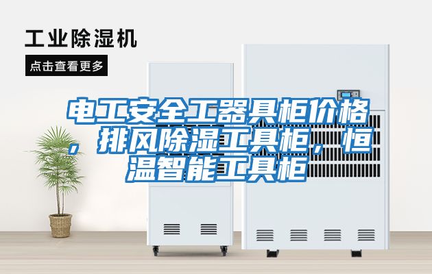 電工安全工器具柜價格，排風(fēng)除濕工具柜，恒溫智能工具柜