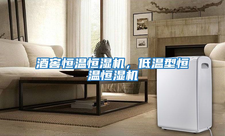 酒窖恒溫恒濕機，低溫型恒溫恒濕機