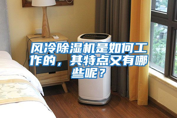 風(fēng)冷除濕機(jī)是如何工作的，其特點(diǎn)又有哪些呢？