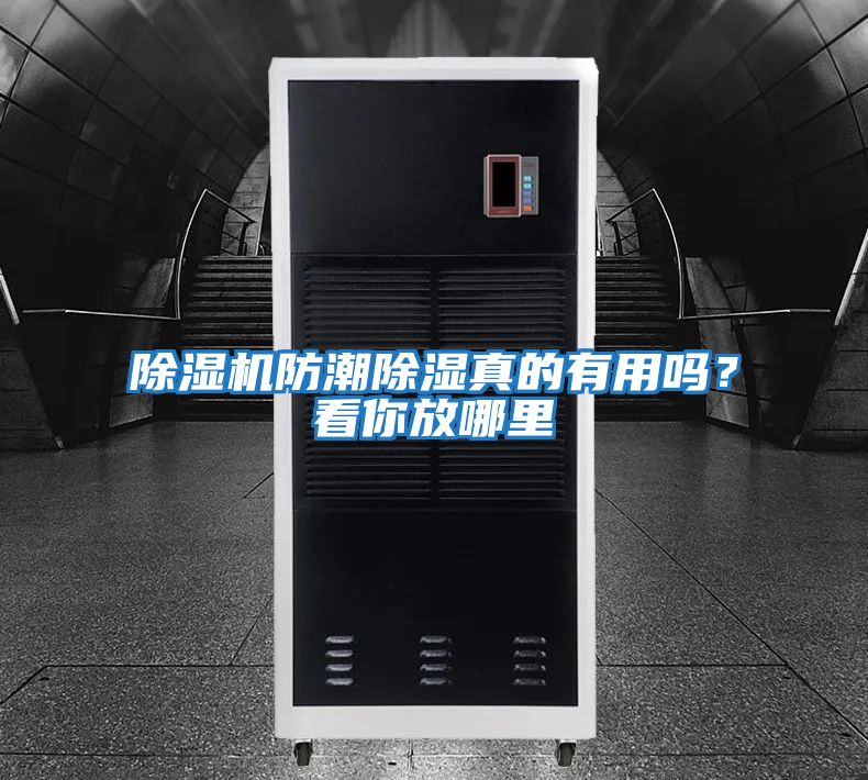 除濕機防潮除濕真的有用嗎？看你放哪里