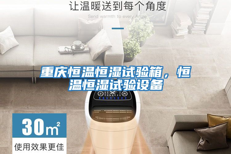 重慶恒溫恒濕試驗箱，恒溫恒濕試驗設備